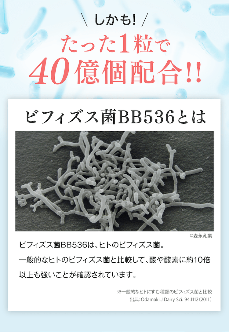 たった1粒で40億個配合!